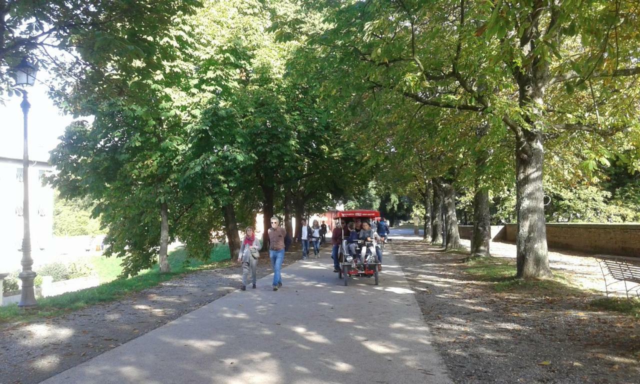 Shanty Home Лукка Экстерьер фото